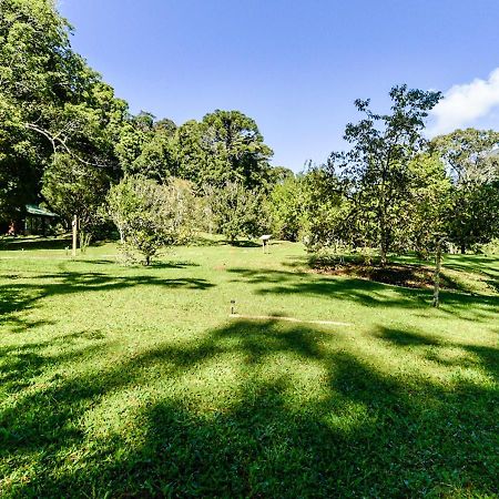 Refugio Ecologico Amadamata Hotel Nova Friburgo Buitenkant foto