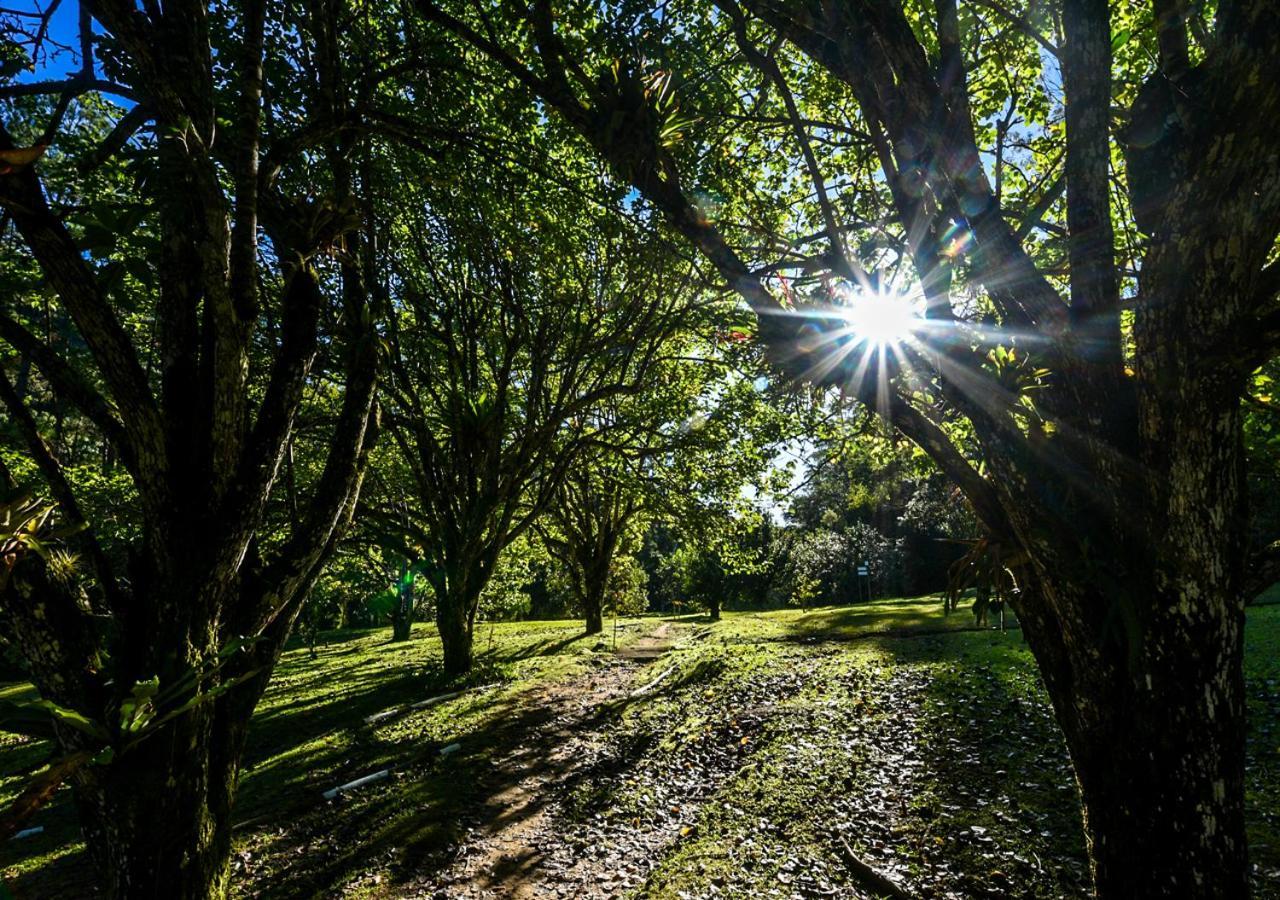 Refugio Ecologico Amadamata Hotel Nova Friburgo Buitenkant foto